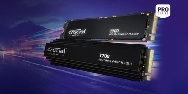 Crucial E100 NVMe SSD disk